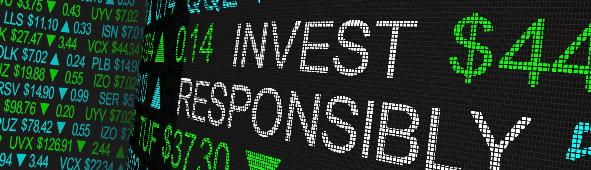 SmallCap Discovery Privacy Hero